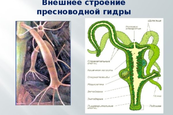 Кракен ссылка 25