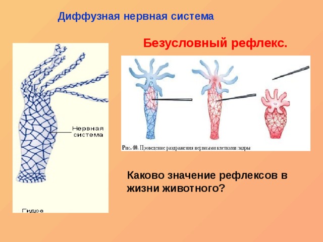 Кракен вход зеркало